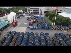 1أسلاك كهربائية معزولة مزدوجة ذو نواة واحدة SDI بطاقة.5mm 450/750V PVC/PVC (حمراء/بيضاء)